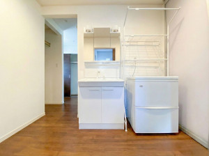 山形市みはらしの丘１丁目、中古一戸建ての洗面画像です