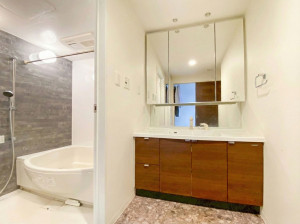 山形市清住町２丁目、中古マンションの洗面画像です