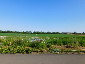 帯広市大空町、土地の画像です