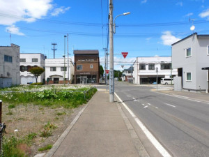 河西郡芽室町東二条、土地の画像です