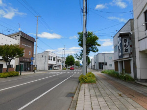 河西郡芽室町東二条、土地の画像です