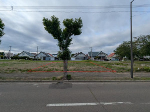 河西郡芽室町東七条、土地の間取り画像です