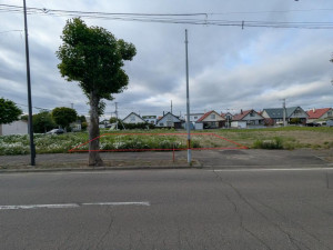 河西郡芽室町東七条、土地の画像です