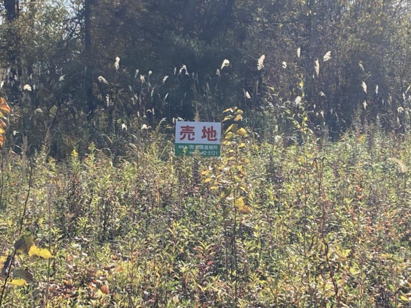 河東郡音更町木野、土地の画像です