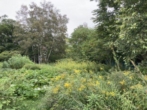 河東郡音更町木野、土地の画像です