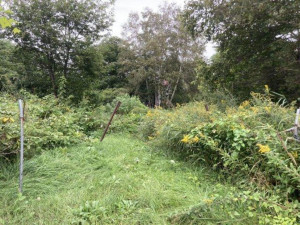 河東郡音更町木野、土地の画像です