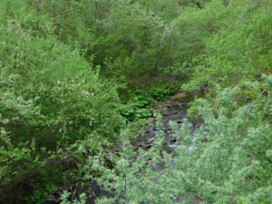 足寄町、土地の画像です