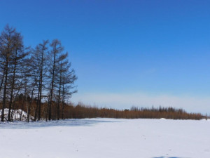 河西郡更別村、土地の画像です