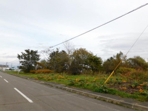 鹿追町、土地の画像です