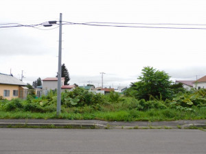 鹿追町、土地の画像です