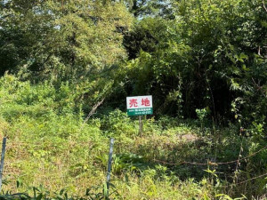 河東郡音更町大通、土地の画像です