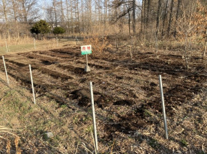 河東郡音更町大通、土地の画像です