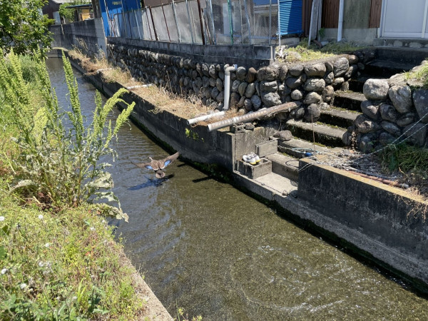 熊谷市、土地の画像です