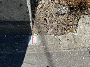 熊谷市拾六間、土地の画像です