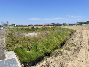 熊谷市永井太田、土地の画像です