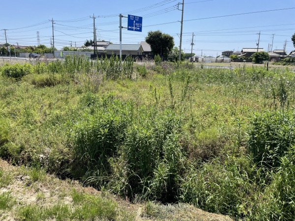 熊谷市永井太田、土地の画像です