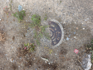 熊谷市柿沼、土地の設備画像です