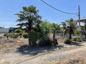 熊谷市西別府、土地の画像です