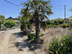 熊谷市西別府、土地の画像です