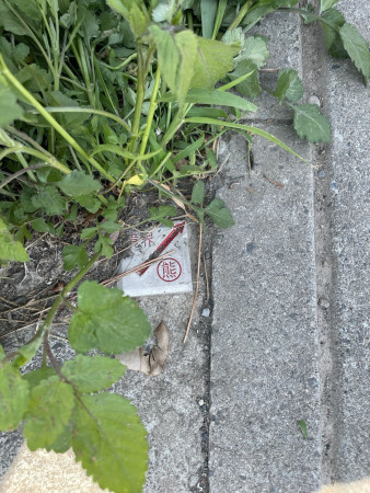 熊谷市上之、土地の前面道路を含む現地写真画像です