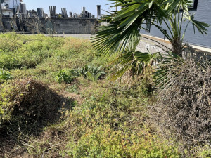熊谷市佐谷田、土地の画像です