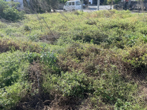 熊谷市佐谷田、土地の画像です