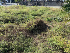 熊谷市佐谷田、土地の画像です