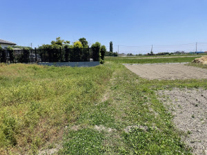 熊谷市上之、土地の前面道路を含む現地写真画像です