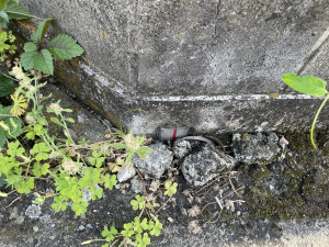 熊谷市小曽根、土地の画像です