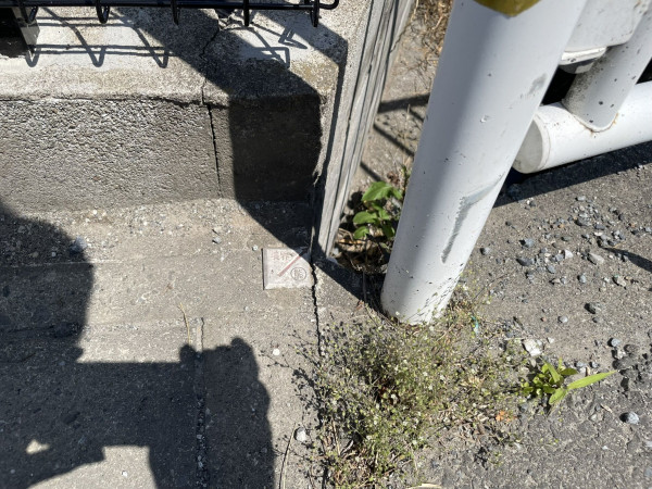 熊谷市柿沼、土地の前面道路を含む現地写真画像です