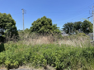 熊谷市妻沼、土地の画像です