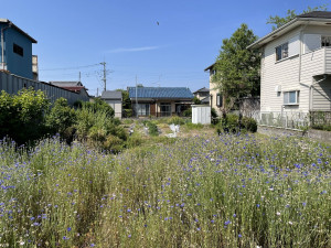 熊谷市肥塚、土地の画像です