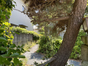 熊谷市別府、土地の画像です