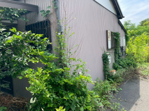 熊谷市円光、土地の画像です