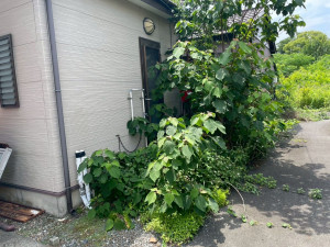 熊谷市円光、土地の画像です
