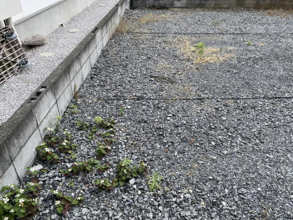 熊谷市見晴町、土地の画像です