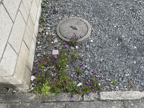 熊谷市見晴町、土地の画像です