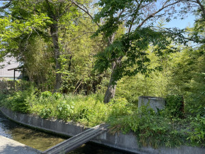 熊谷市久保島、土地の画像です