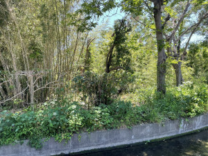 熊谷市久保島、土地の画像です