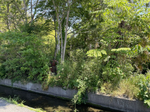 熊谷市久保島、土地の画像です