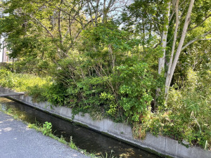 熊谷市久保島、土地の画像です
