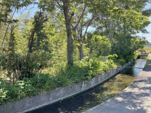 熊谷市久保島、土地の画像です
