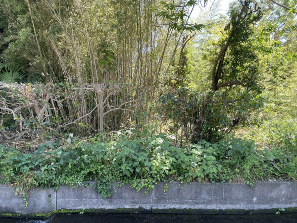 熊谷市久保島、土地の前面道路を含む現地写真画像です