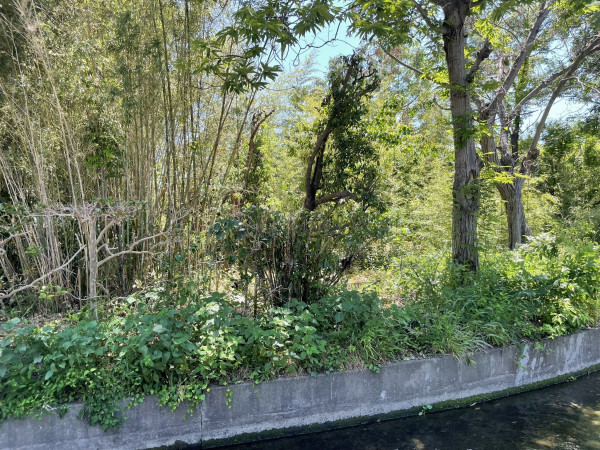 熊谷市久保島、土地の画像です