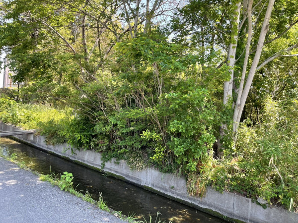 熊谷市久保島、土地の画像です