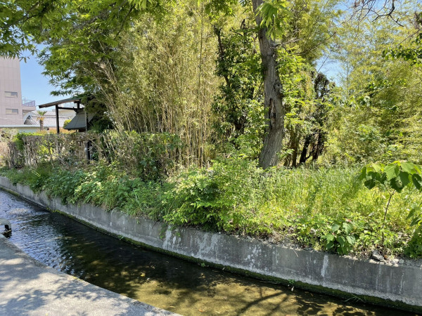 熊谷市久保島、土地の画像です