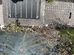 熊谷市上之、土地の画像です