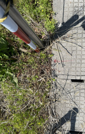 熊谷市上之、土地の画像です
