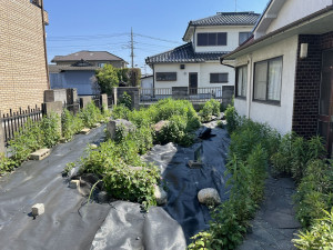 熊谷市箱田、土地の画像です