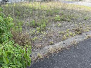 熊谷市西野、土地の画像です